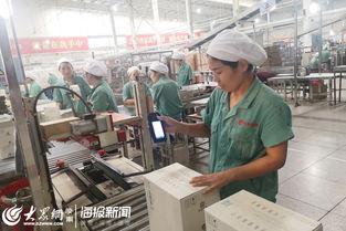 产品有了“身份证” 浪潮助力花冠数字化转型与档案数字化加工处理